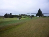 Waitangi